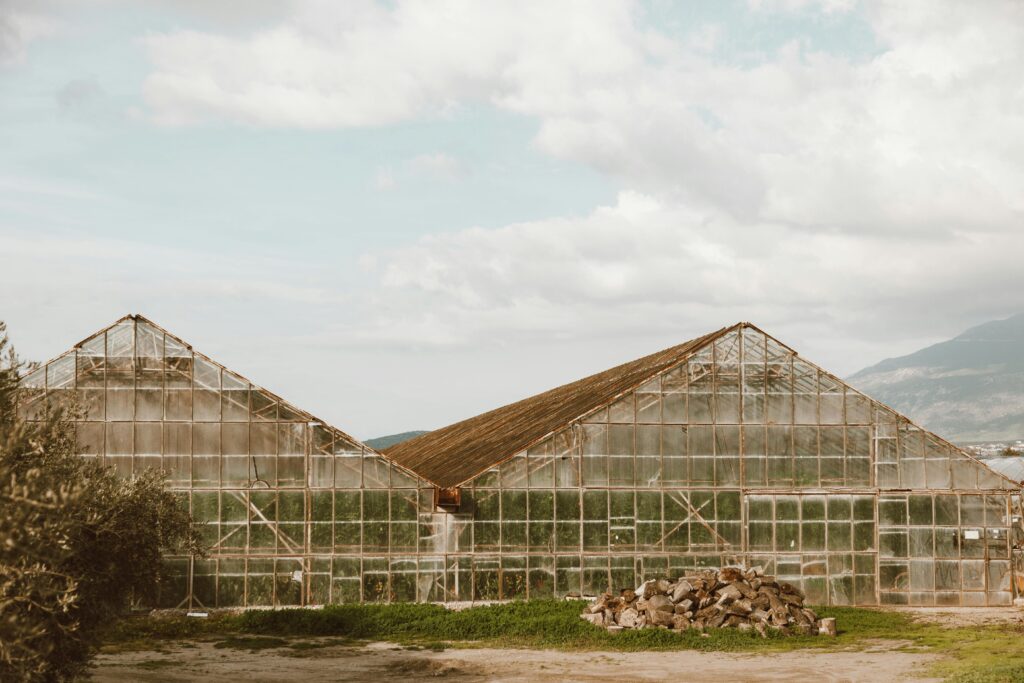 pexels photo 6342330 6342330 Rustic greenhouses set against a rural backdrop under a cloudy sky.